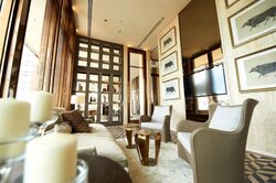 The Ritz-Carlton  (D9), Condominium #496825641